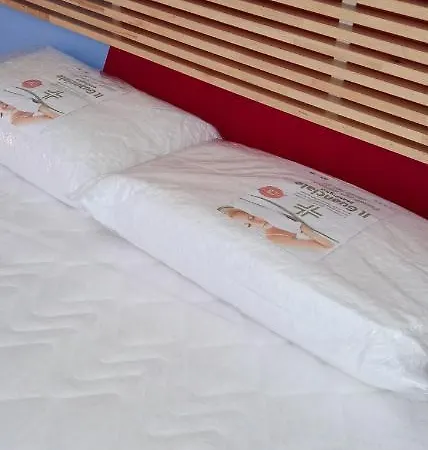 Il Pesciolino Bed and breakfast