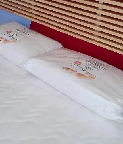 Il Pesciolino Bed and breakfast